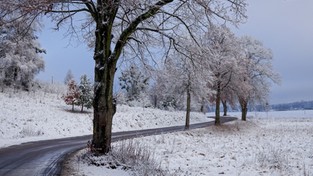 16.12.2019 11:00 Meteorologiczna zima już trwa, ale jej nie widać. Co nas może czekać przez następne 3 miesiące?