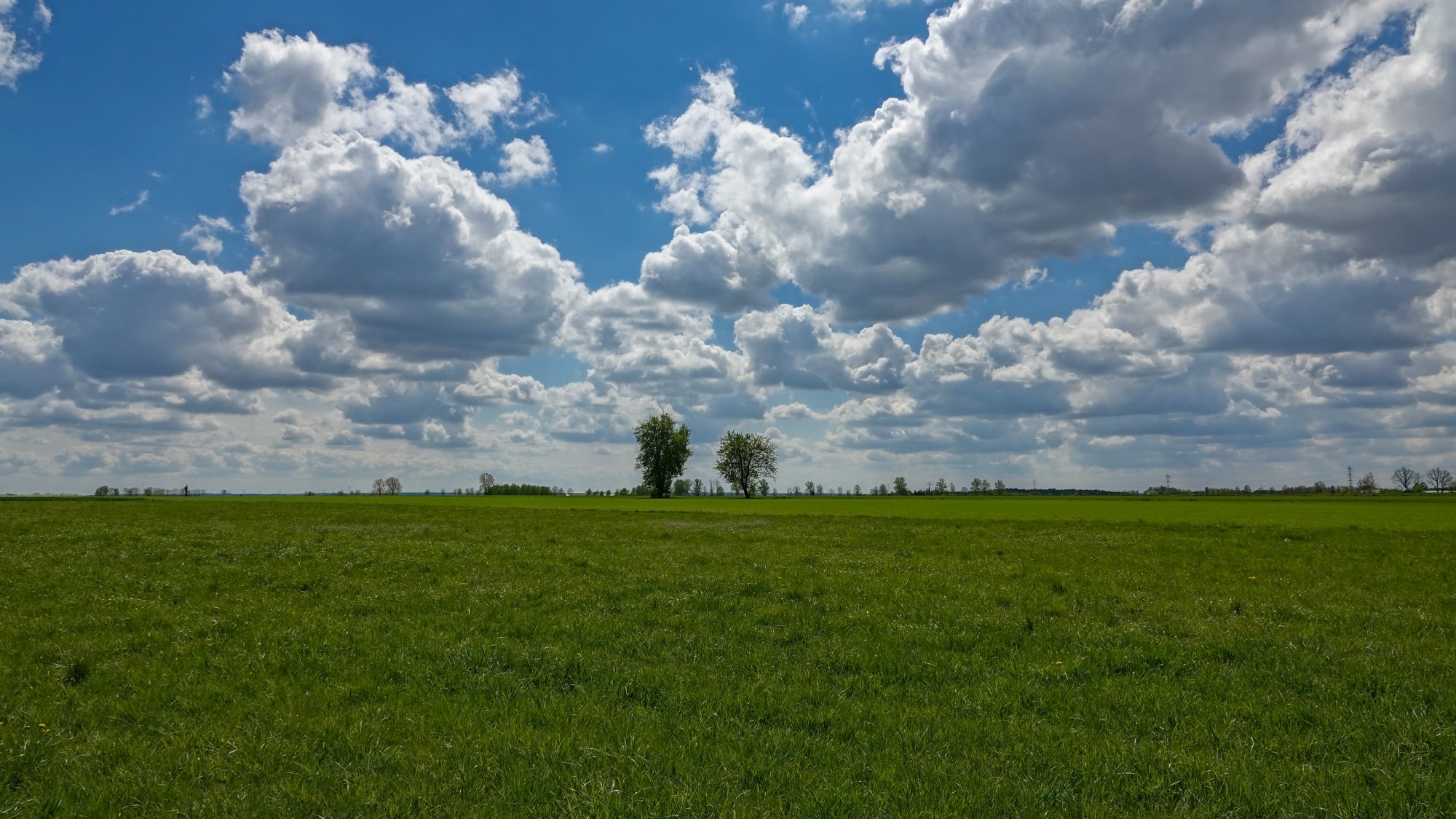 Całe piękno późnej wiosny - zdjęcie 51