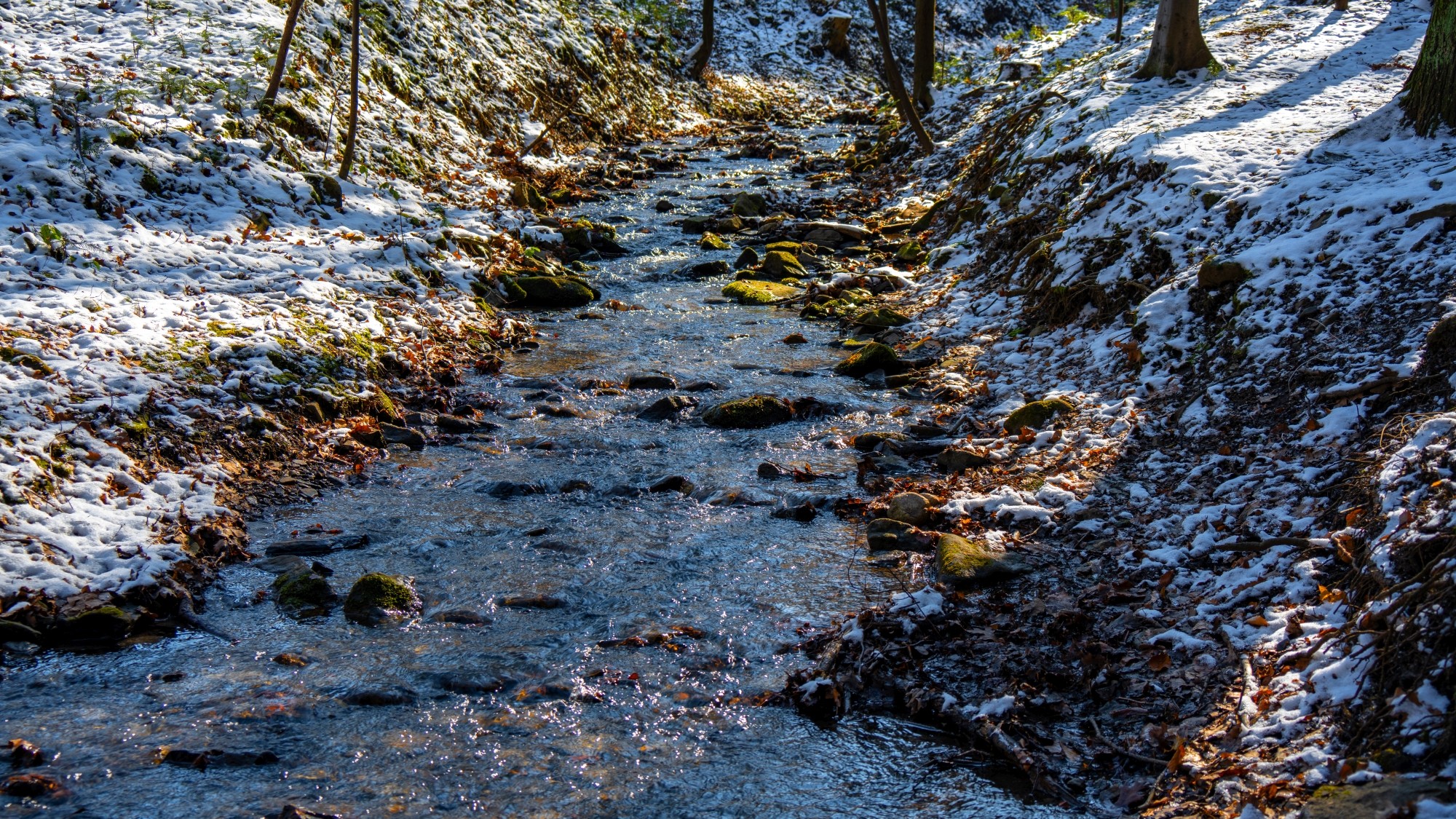 Zima w górach - zdjęcie 38