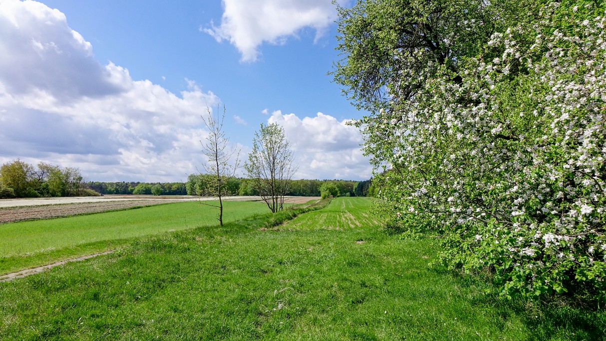 Kwiecień w obiektywie - zdjęcie 34