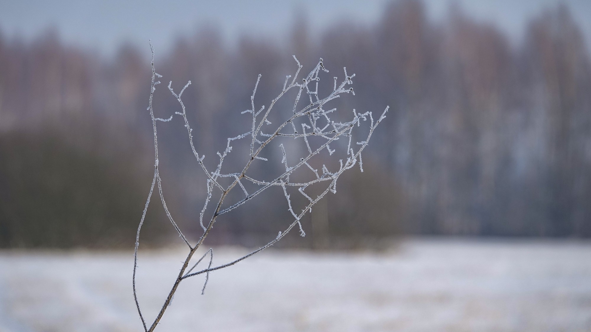 Na lodowym szlaku - zdjęcie 65