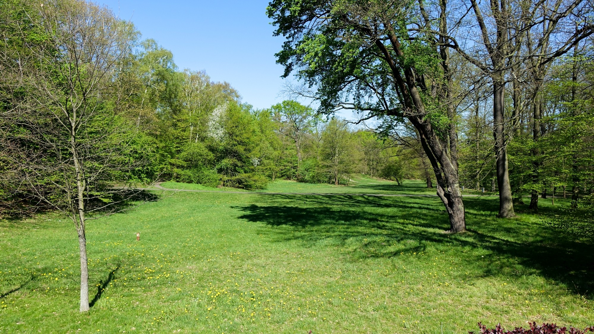 Kwiecień w obiektywie - zdjęcie 35