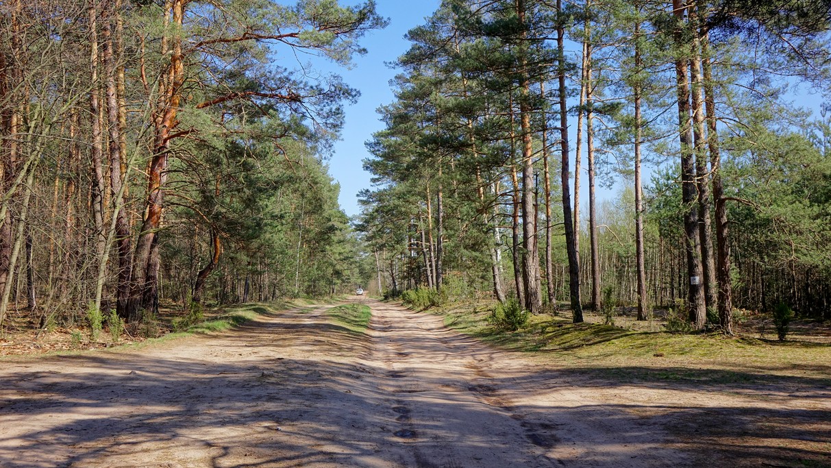 Kwiecień w obiektywie - zdjęcie 25