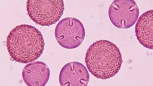 27-02-2026 03:59 Detektory w całej Polsce zaczęły szaleć. Eksperci biją na alarm