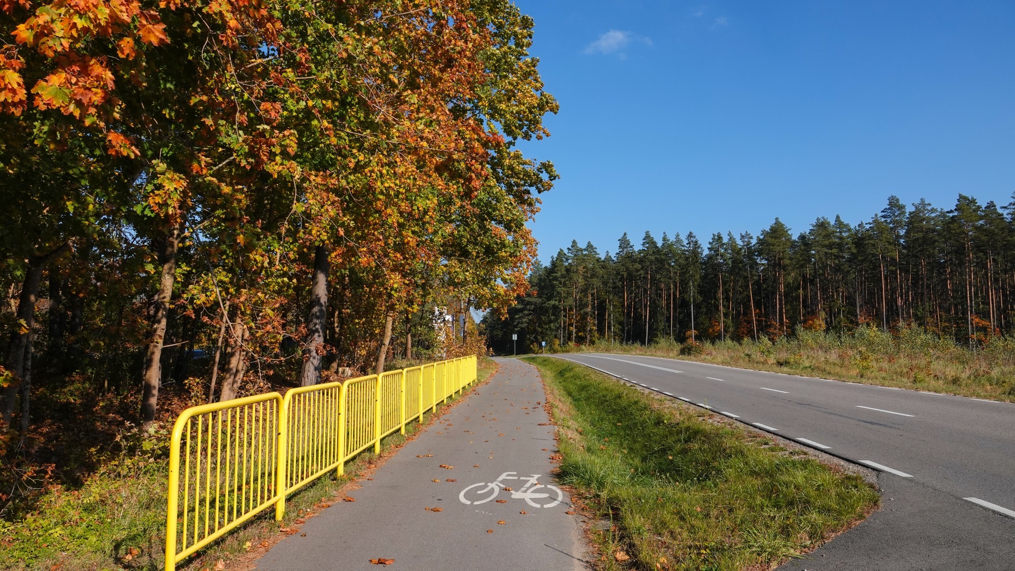 Jesienne klimaty - zdjęcie 45