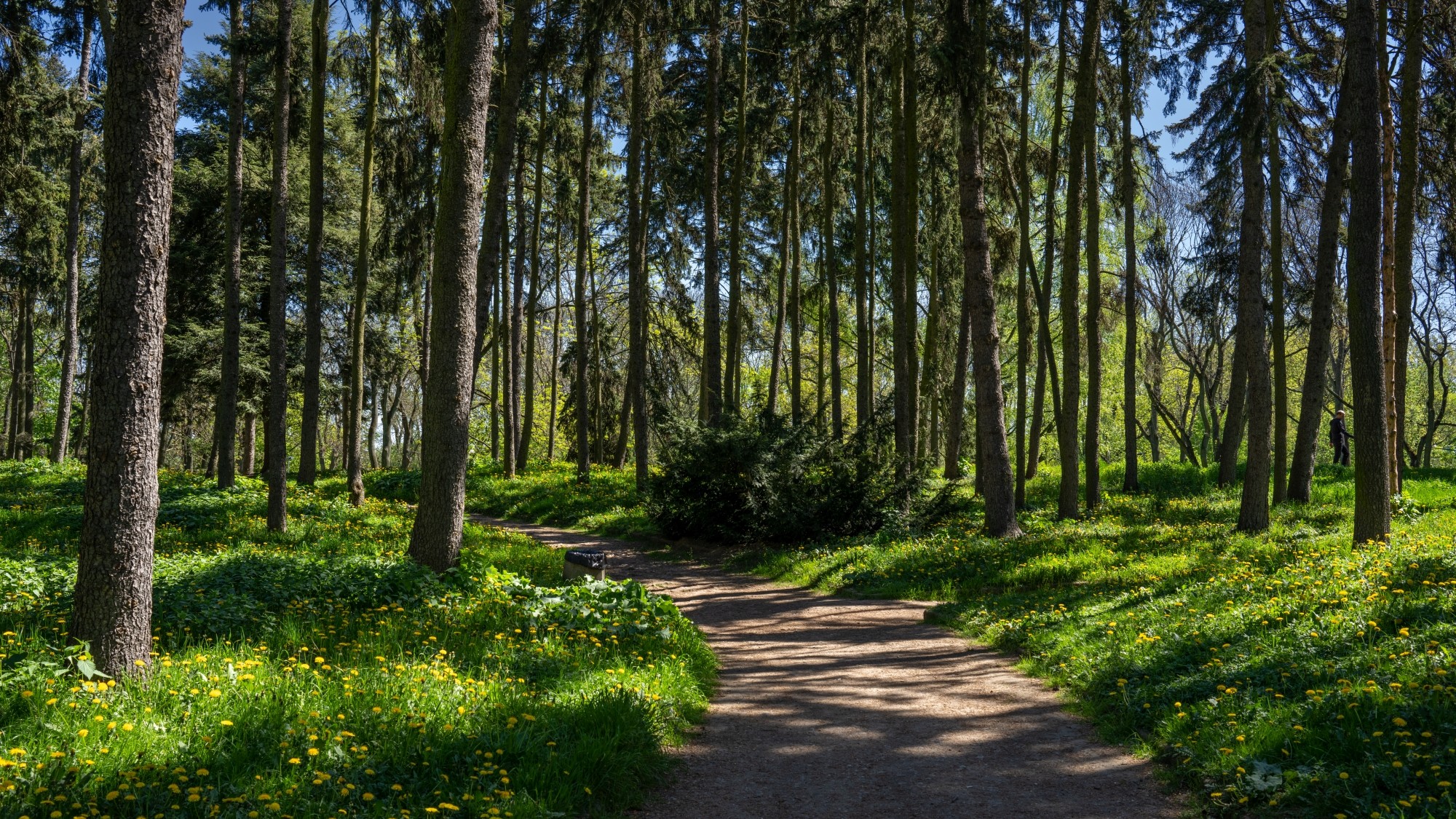 Wiosenna opowieść - zdjęcie 26