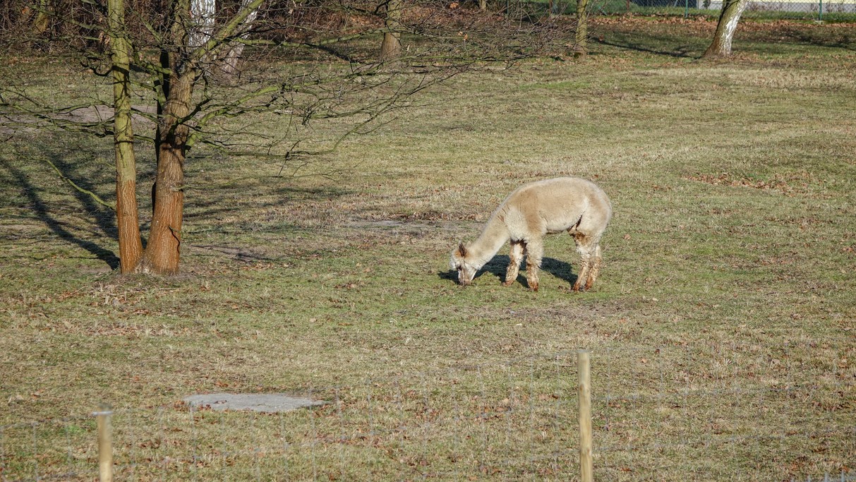 Styczeń w obiektywie - zdjęcie 35
