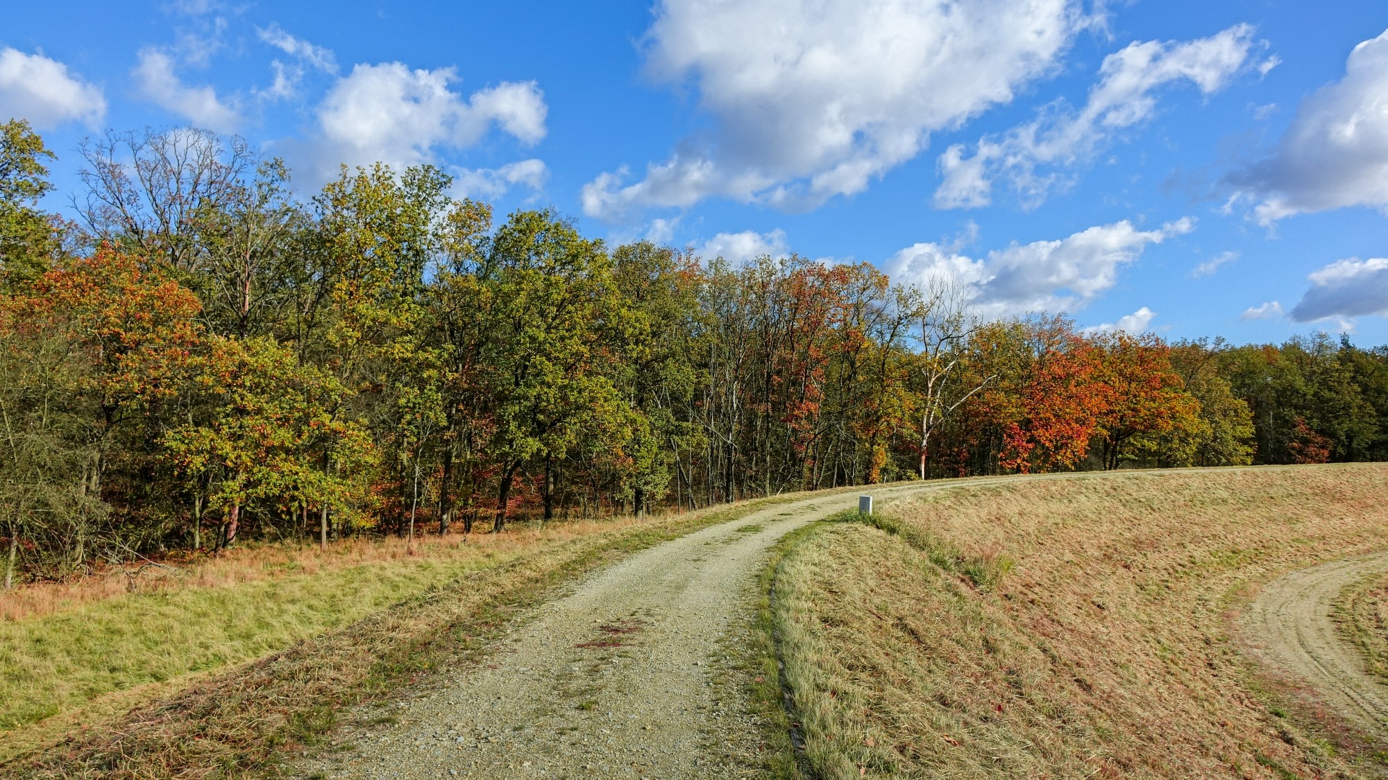 Jesień w górach, lasach i nad jeziorami - zdjęcie 26