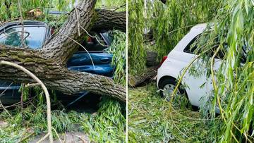 2024-05-17 Sytuacja pogodowa w Polsce. Drzewa spadały na auta