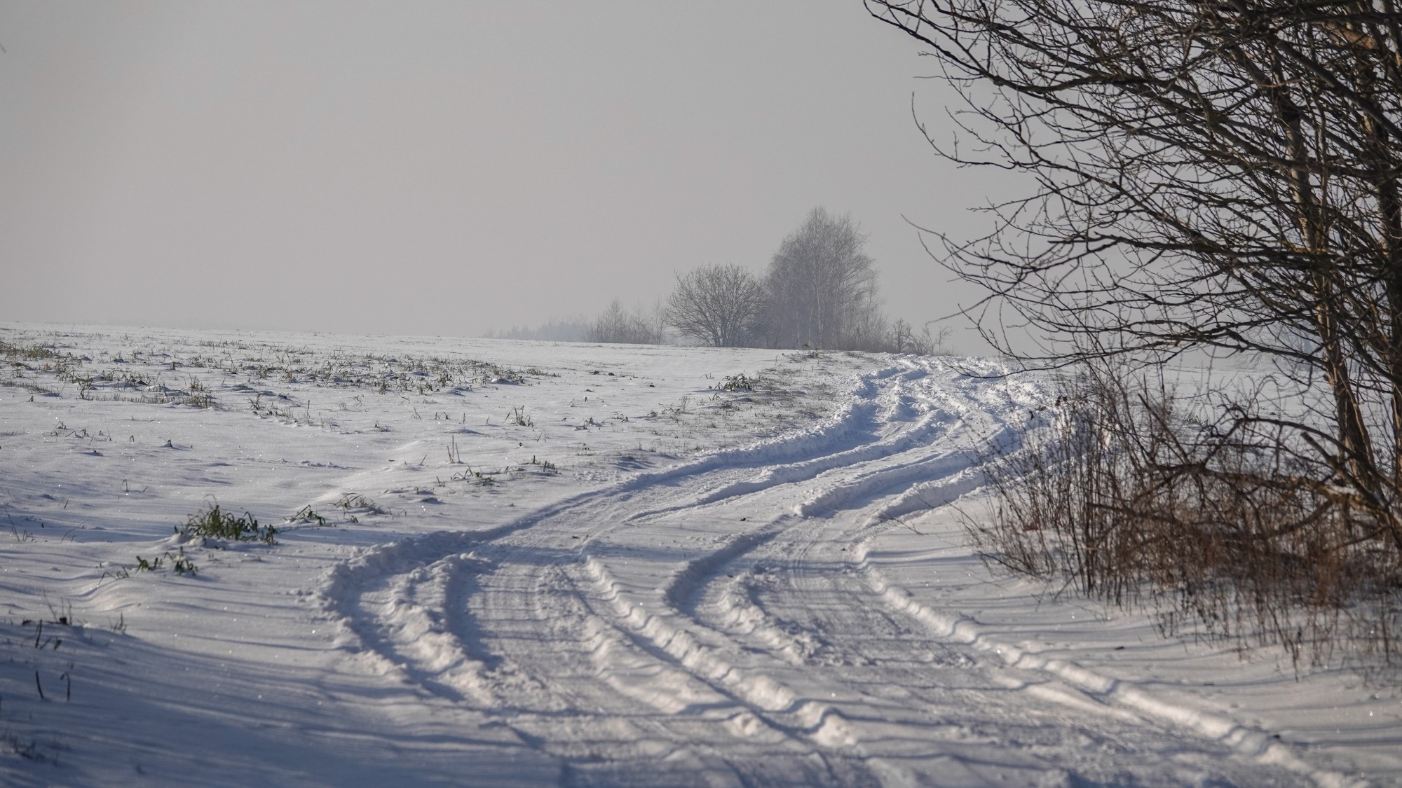 Na lodowym szlaku - zdjęcie 13