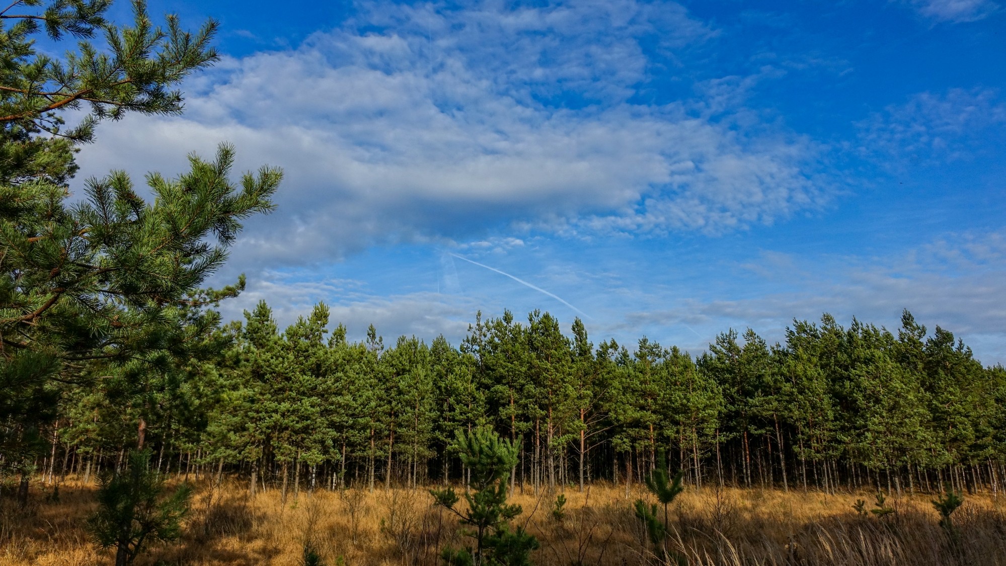 Listopad w obiektywie - zdjęcie 36