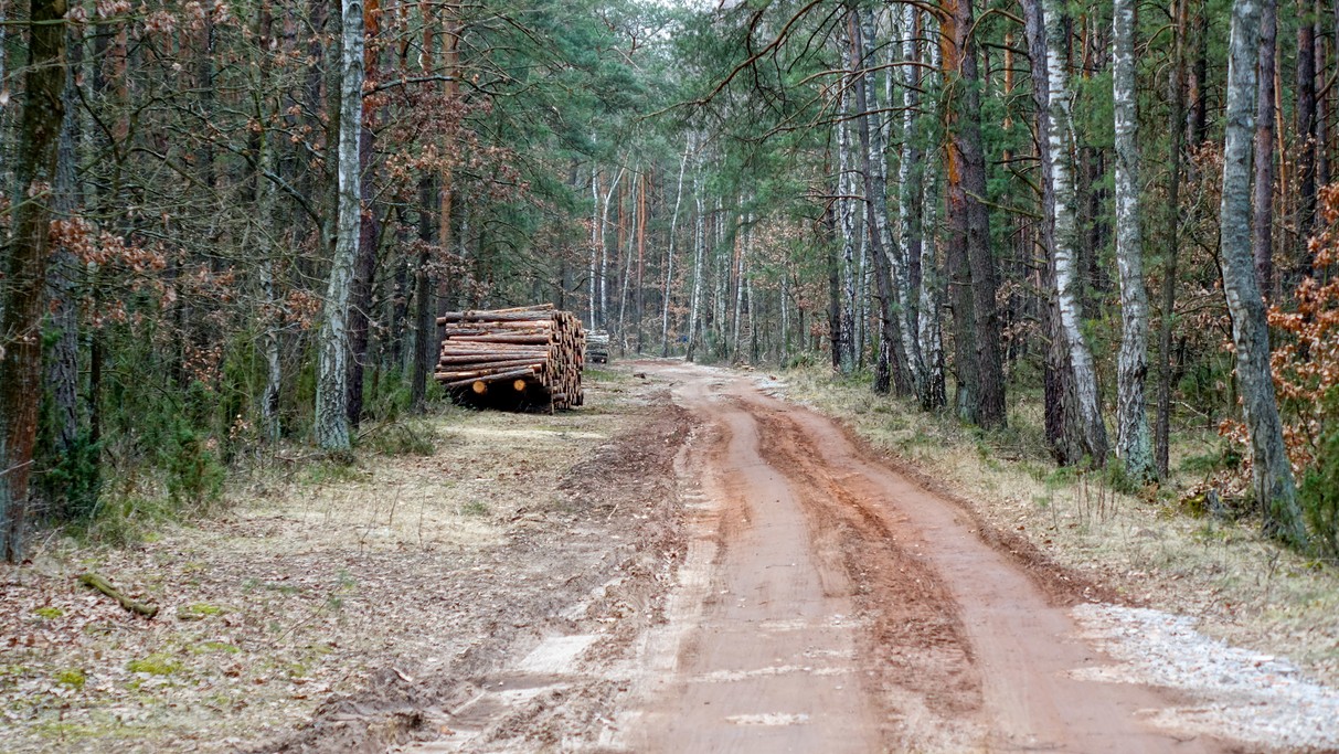 Luty w obiektywie - zdjęcie 17