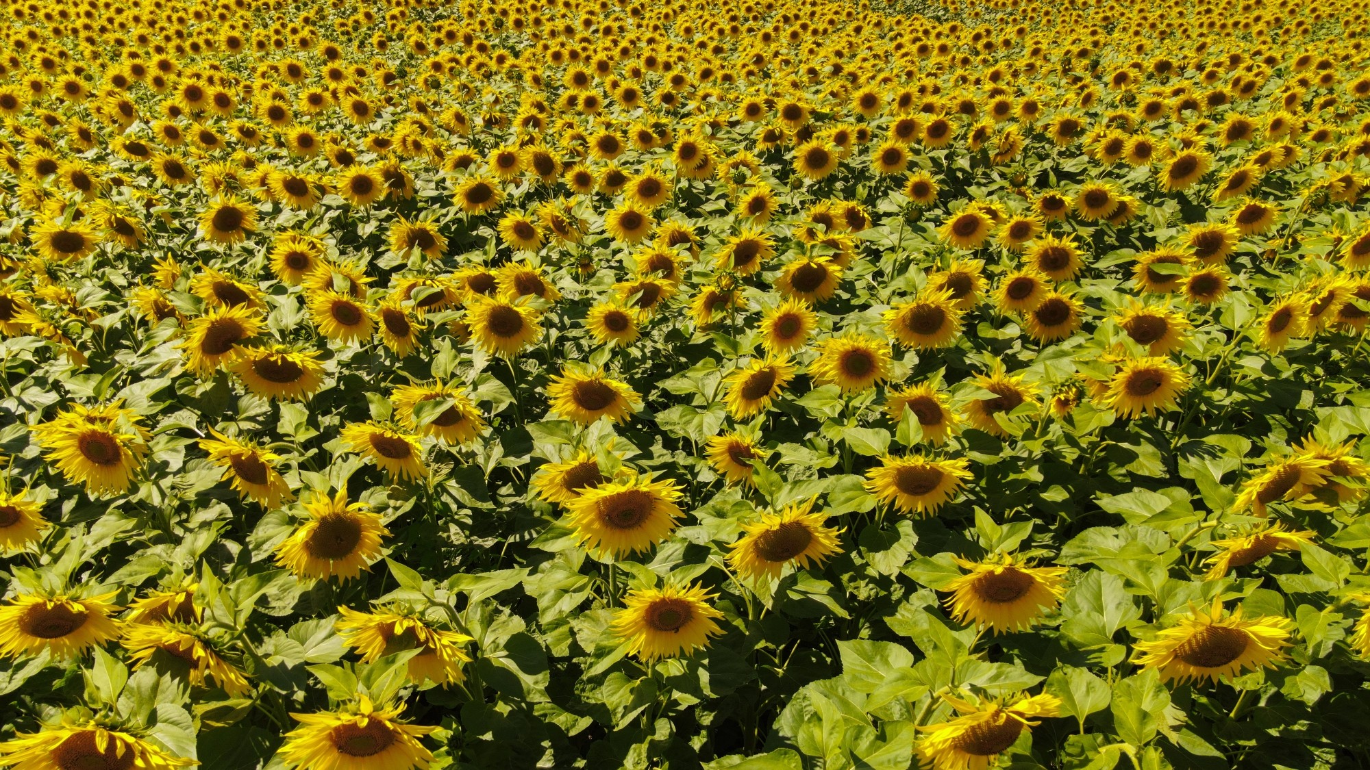 100 najpiękniejszych zdjęć 2020 roku - zdjęcie 29