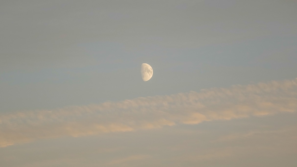 Listopad w obiektywie - zdjęcie 26