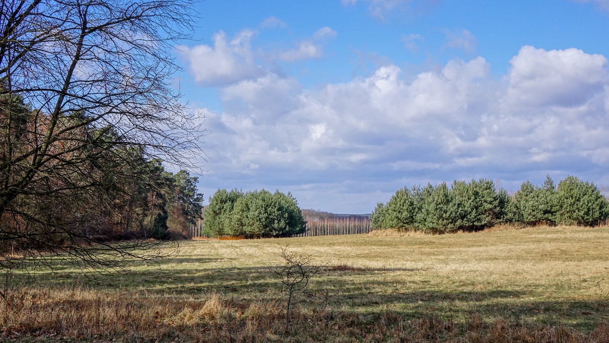 Marzec w obiektywie - zdjęcie 50