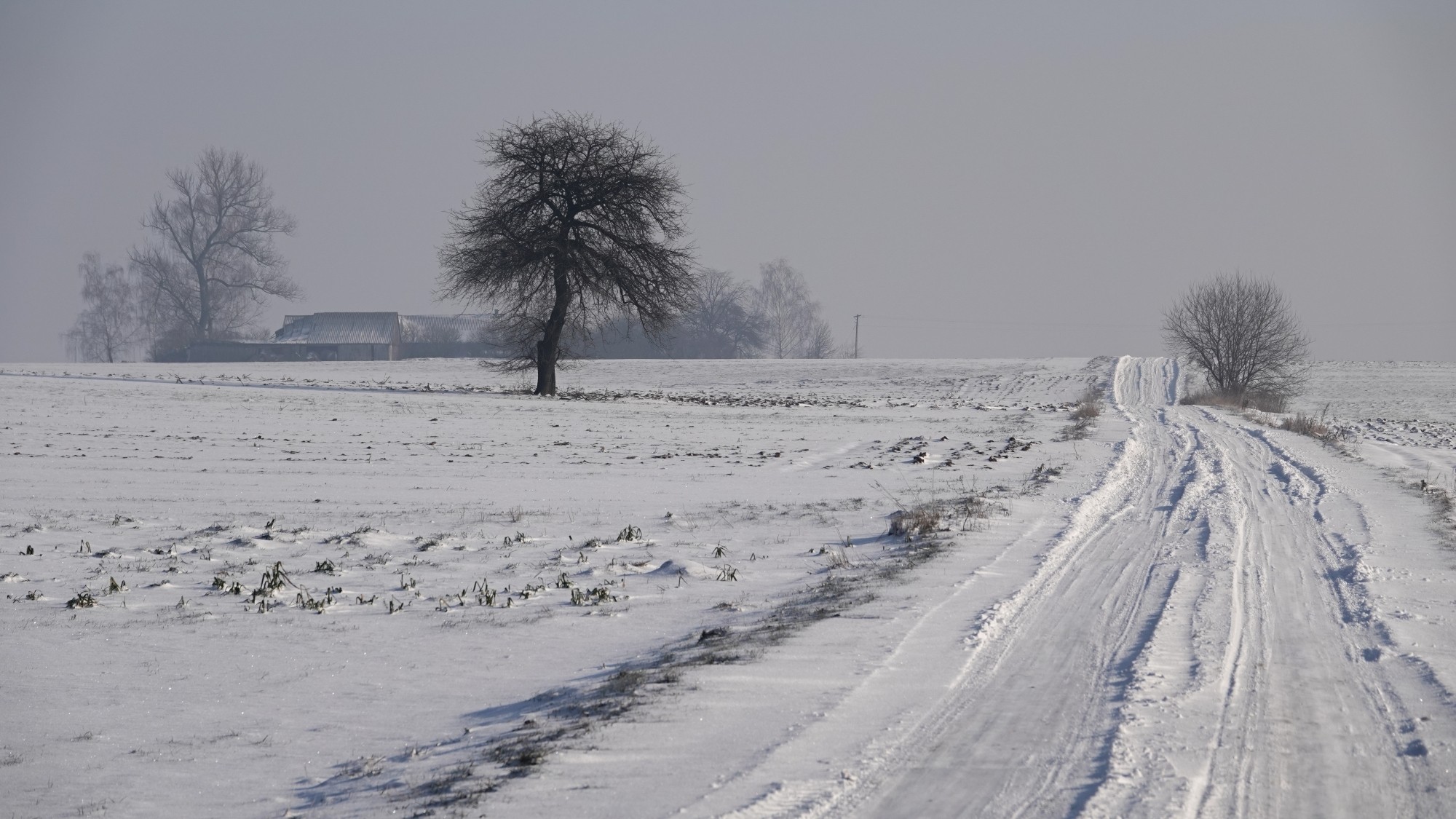 Na lodowym szlaku - zdjęcie 29