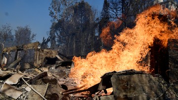 Pożar trawi Kalifornię. W okolicach Los Angeles zniszczył 439 domów