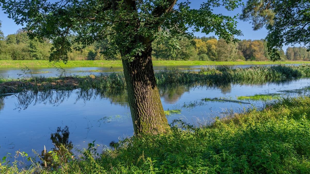 Ostatni powiew lata. Fot. TwojaPogoda.pl