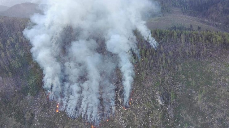 Pożar lasu w Tatrach Wysokich na Słowacji. Ewakuowano turystów