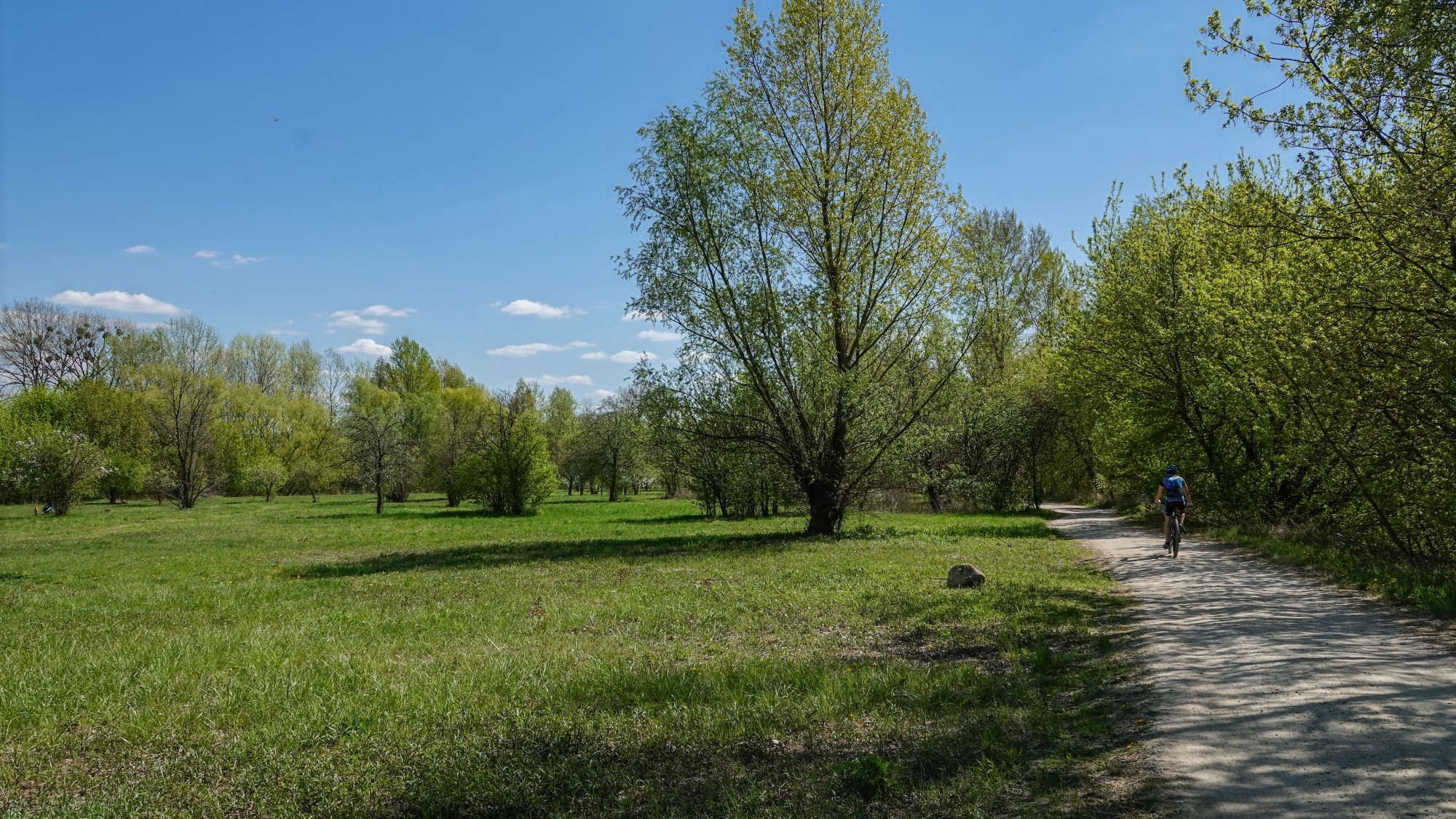 Kwiecień w obiektywie - zdjęcie 30