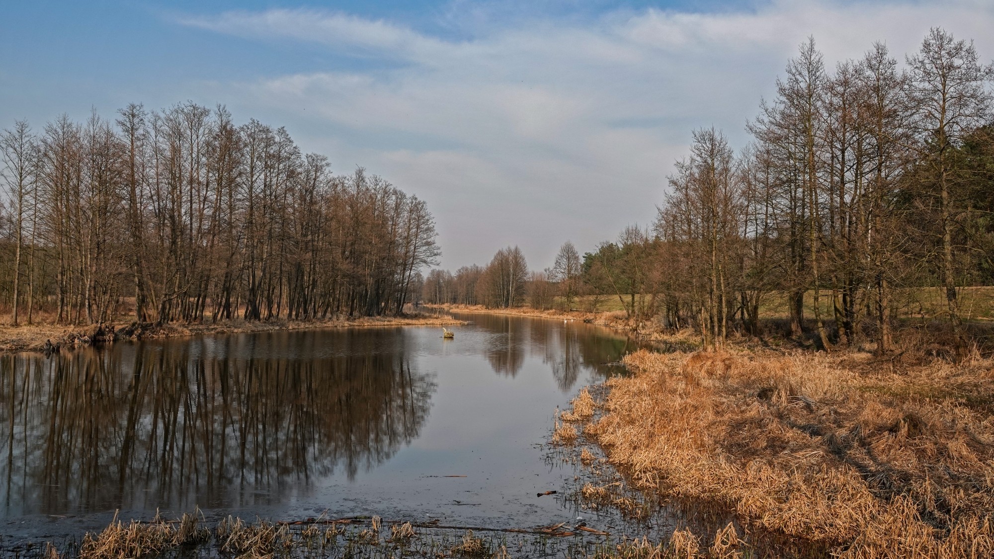 Marzec w obiektywie - zdjęcie 17