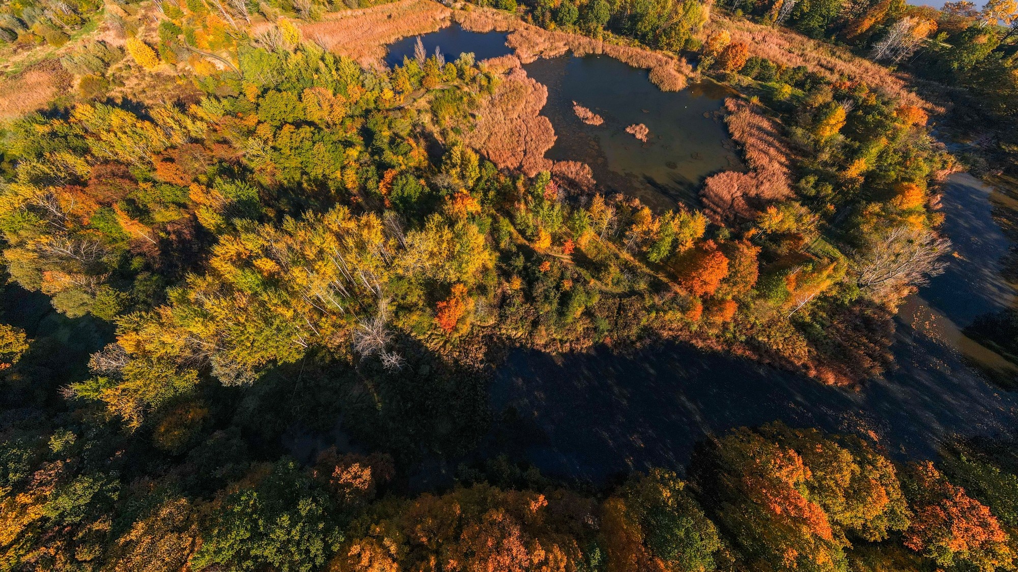 Jesień w Polsce z lotu ptaka - zdjęcie 28