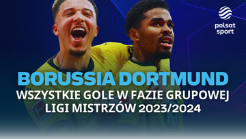Borussia Dortmund - wszystkie gole w fazie grupowej Ligi Mistrzów 2023/2024