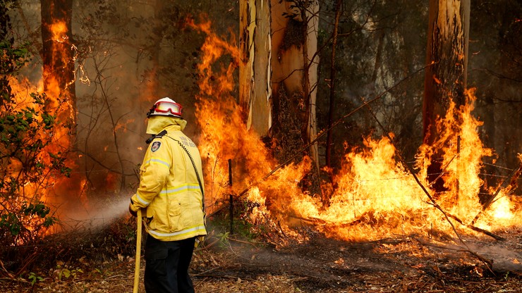 Odwołany Rajd Australii. Gigantyczne pożary, stan wyjątkowy, ofiary śmiertelne
