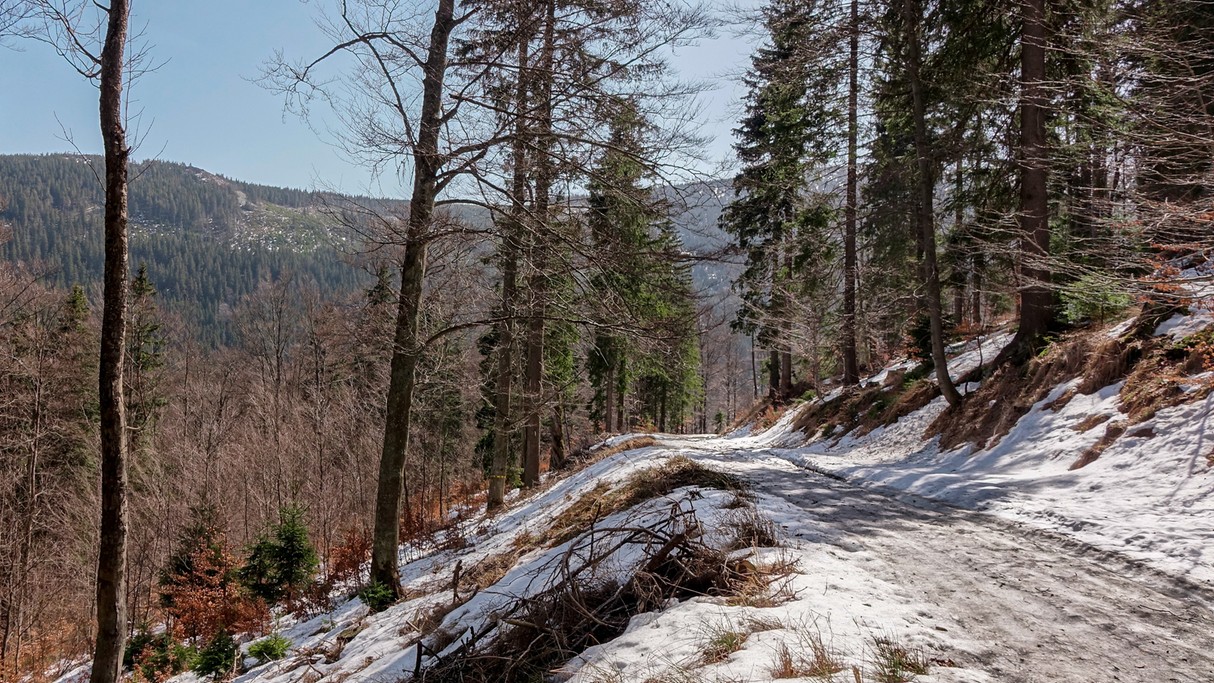 Minione zimy w Polsce - zdjęcie 35
