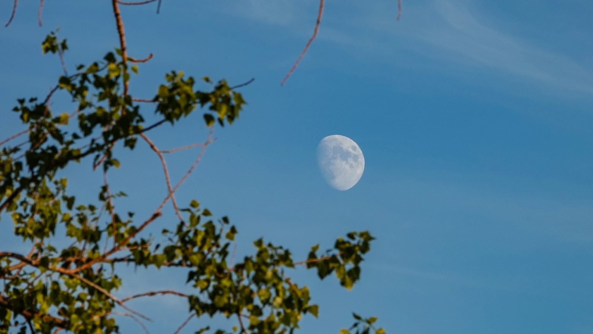 Środek lata w plenerze - zdjęcie 29