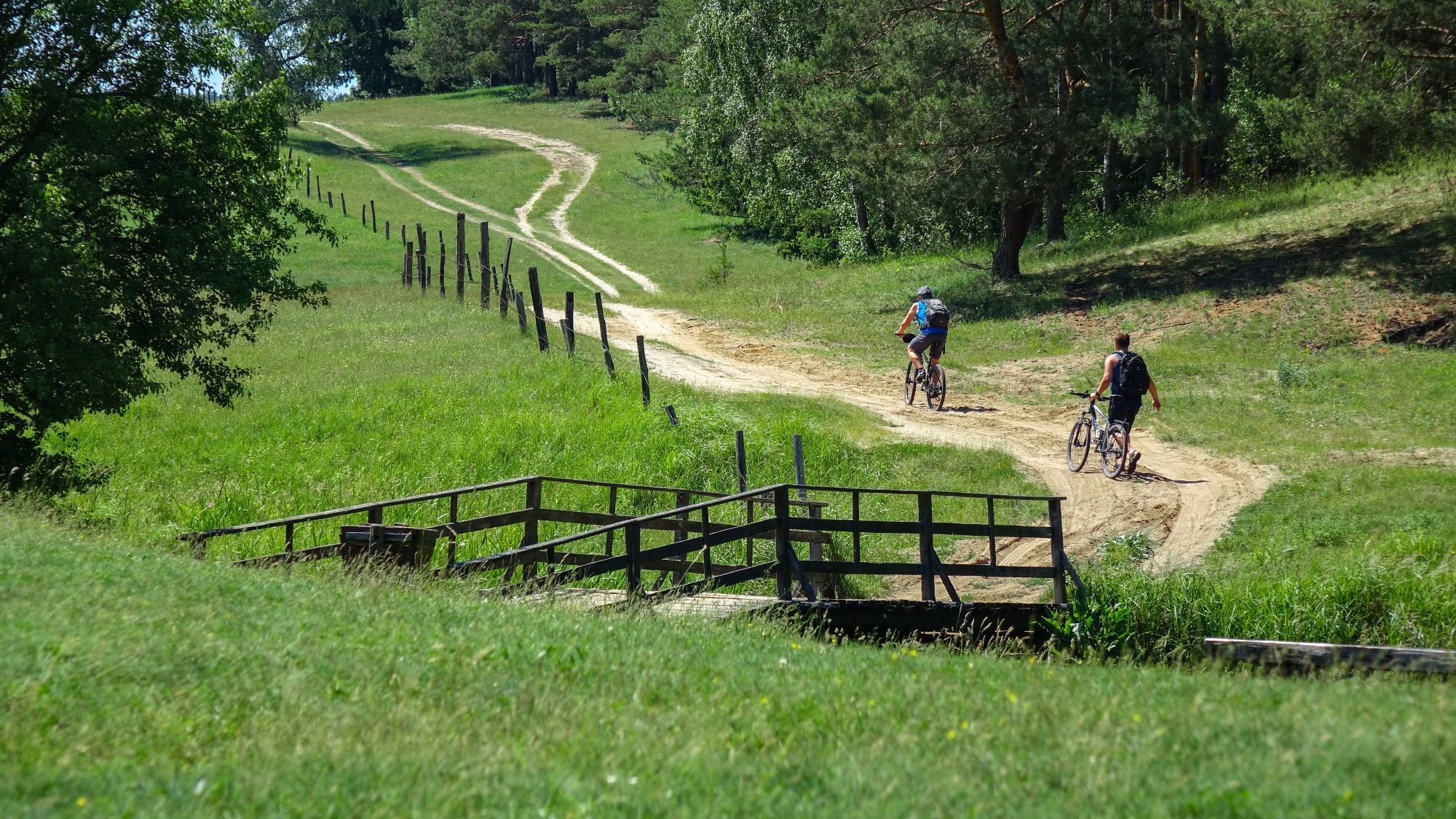 Wakacyjne podróże - zdjęcie 25