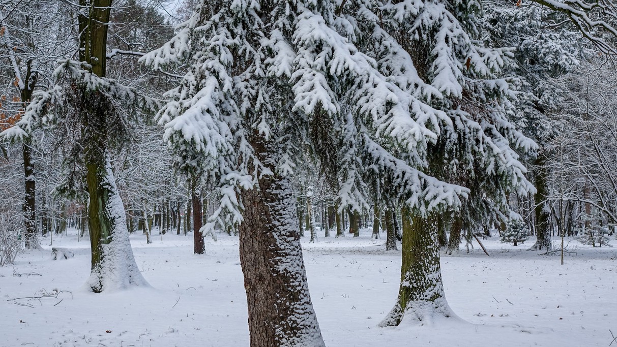 Styczeń w obiektywie - zdjęcie 61