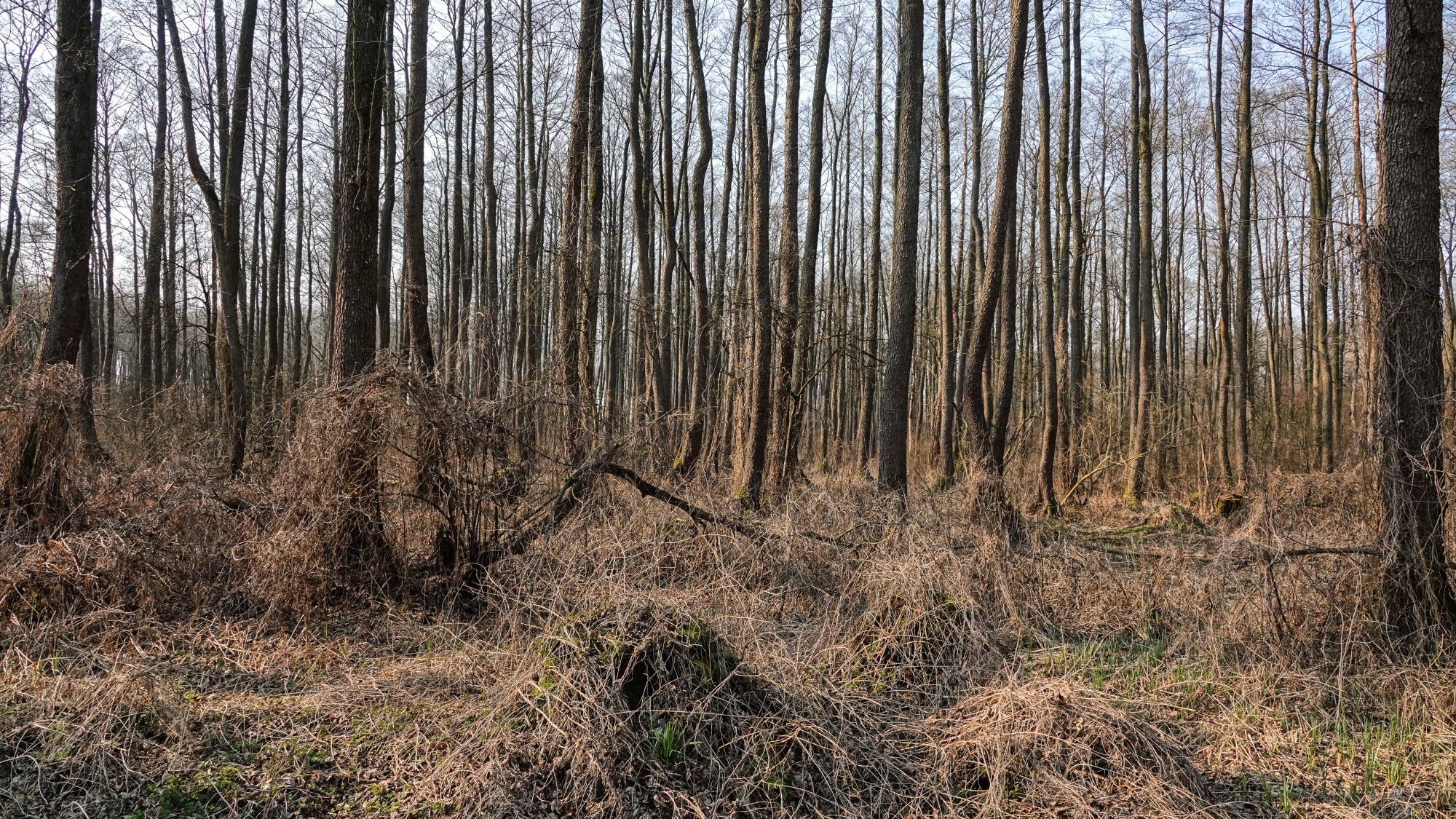 Marzec w obiektywie - zdjęcie 44