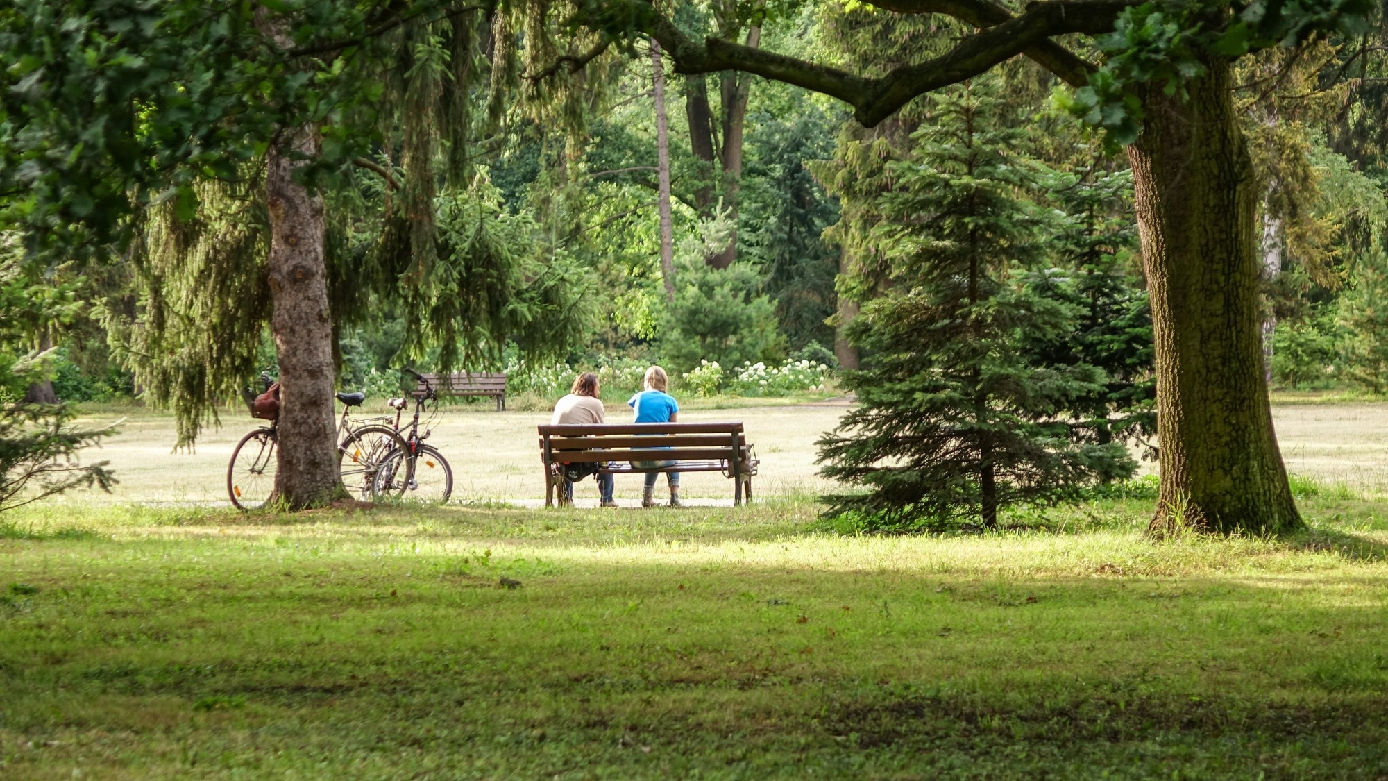 Odkryj piękno Polski w wakacje - zdjęcie 87