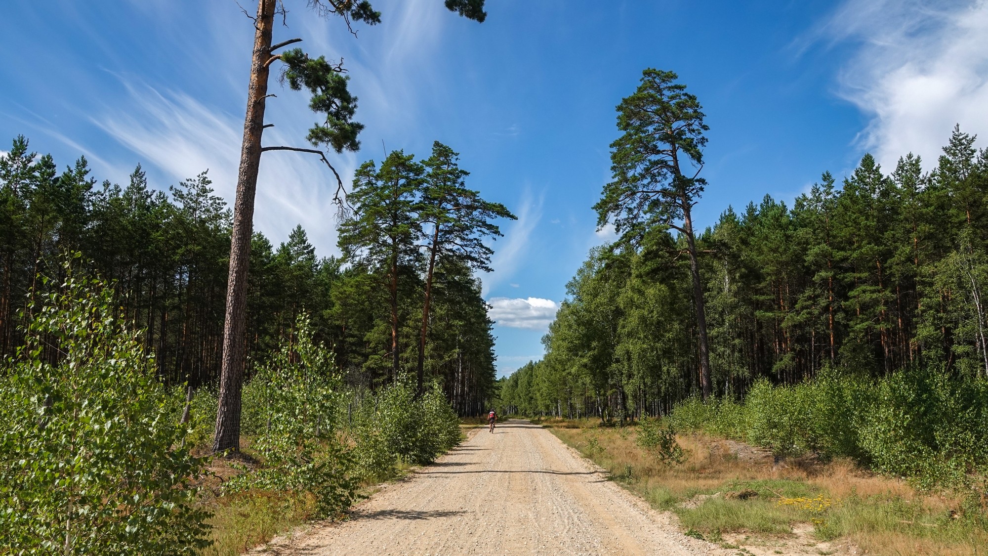 Na pożegnanie lata - zdjęcie 22