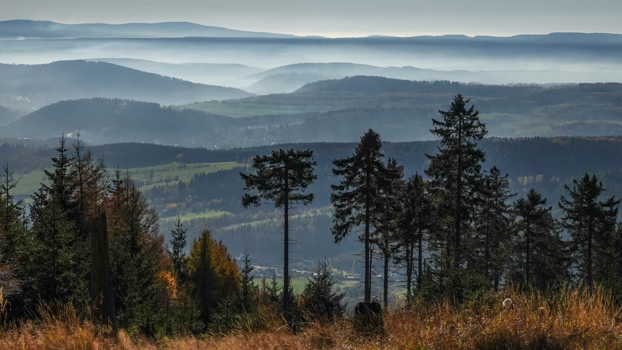 100 najpiękniejszych zdjęć 2020 roku - zdjęcie 95