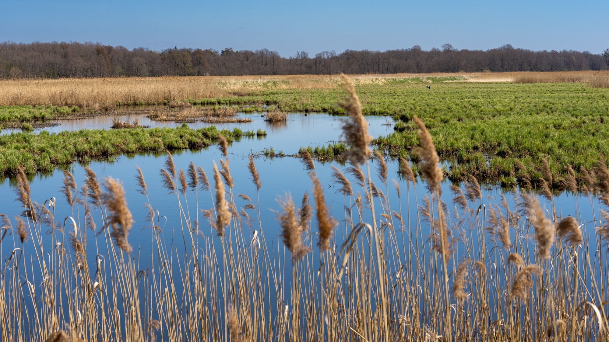 Miejska przyroda - zdjęcie 22