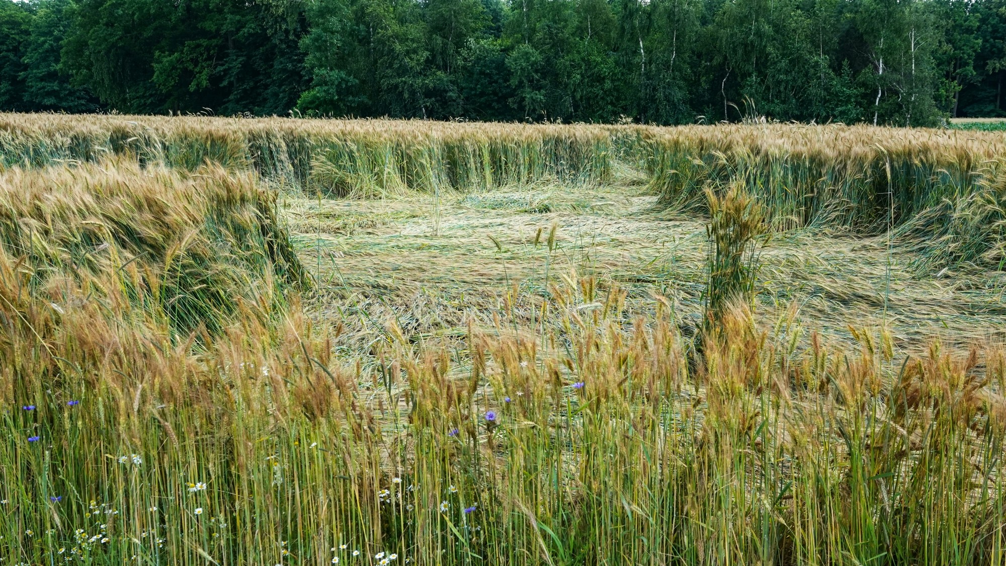 Podróż przez polską prowincję - zdjęcie 17