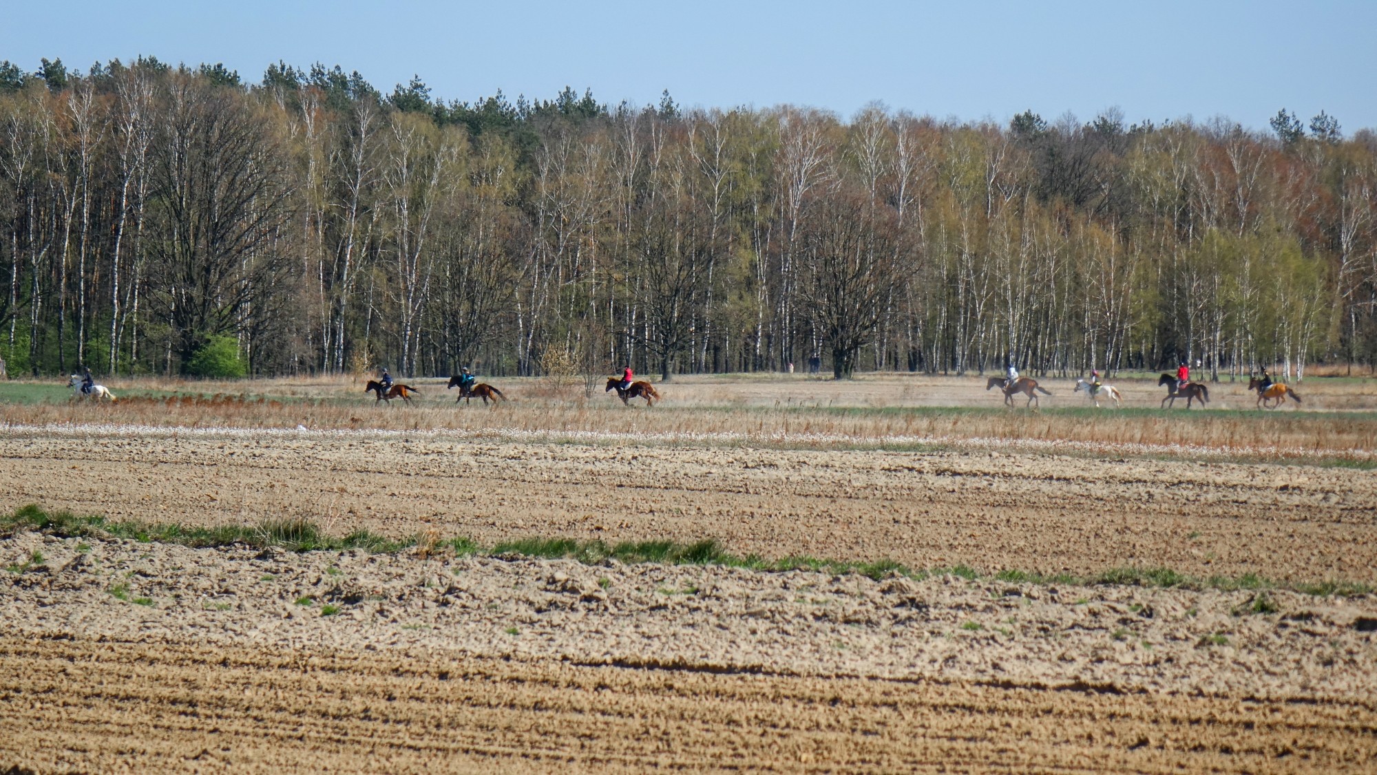 Podróż przez wiosenną Polskę - zdjęcie 28