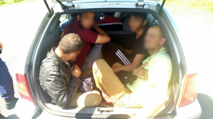 Węgry. 13-latek próbował przemycić ludzi. Prowadził auto z polską rejestracją