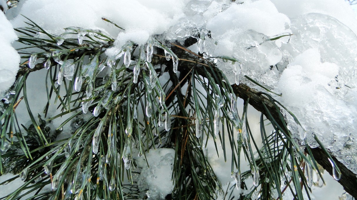Bajkowa kraina śniegu i lodu - zdjęcie 15