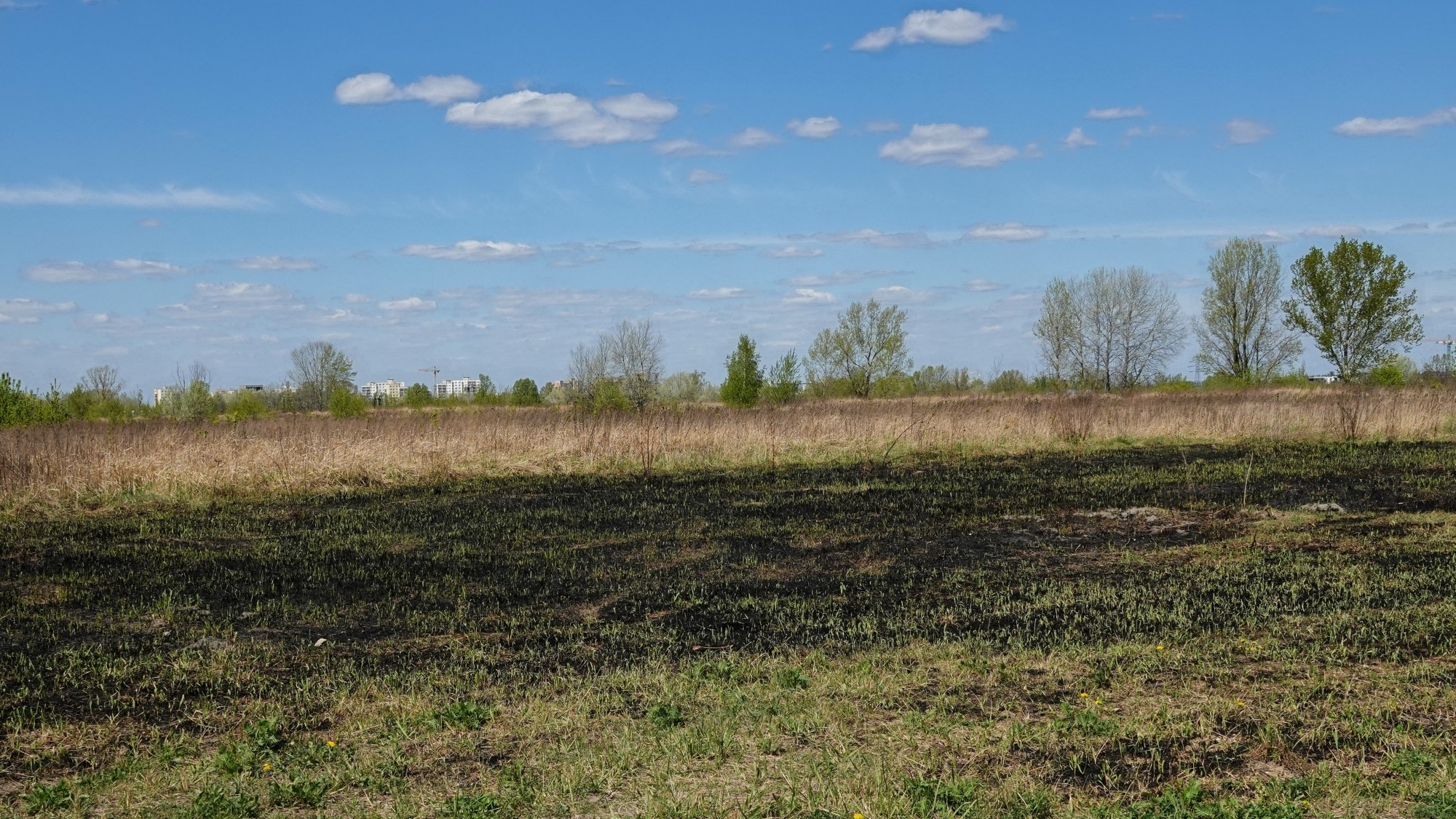 Kwiecień w obiektywie - zdjęcie 61