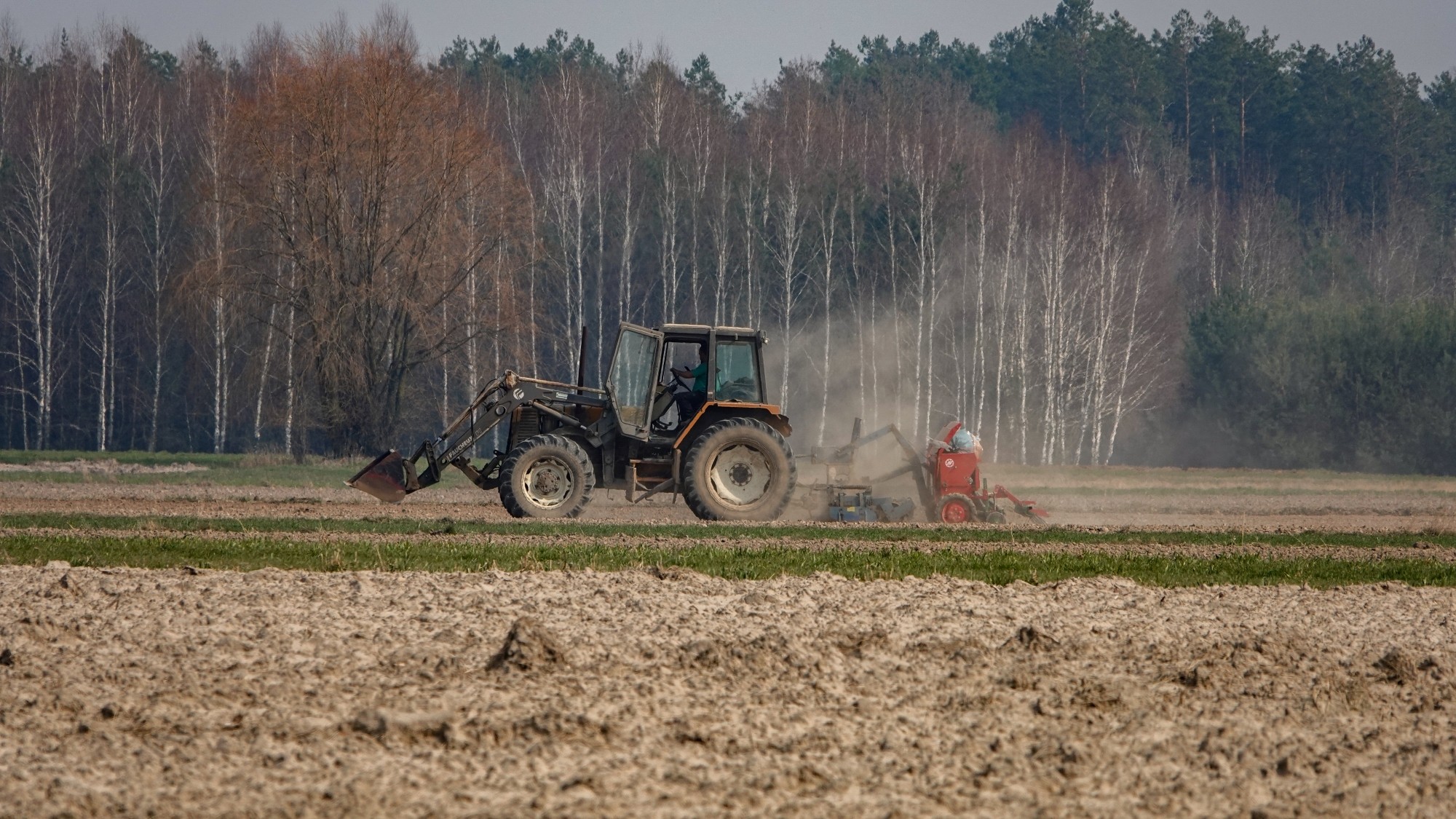 Marzec w obiektywie - zdjęcie 33