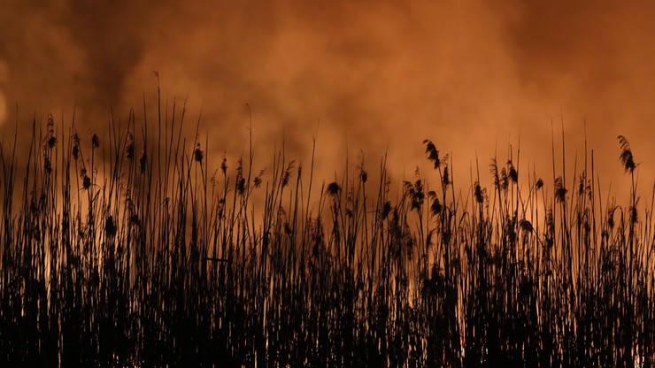 Dym z płonącego Biebrzańskiego Parku Narodowego dotarł nad Warszawę