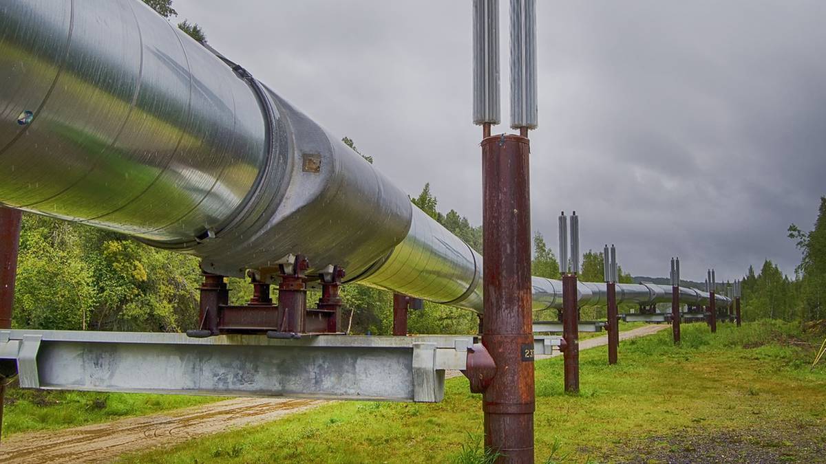 Fragment metalowego rurociągu w krajobrazie leśnym.
