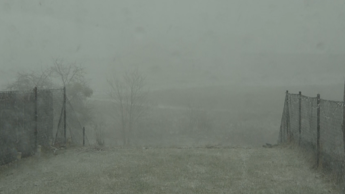 Krajobraz podczas opadów śniegu z gęstą mgłą i ogrodzeniem po bokach.
