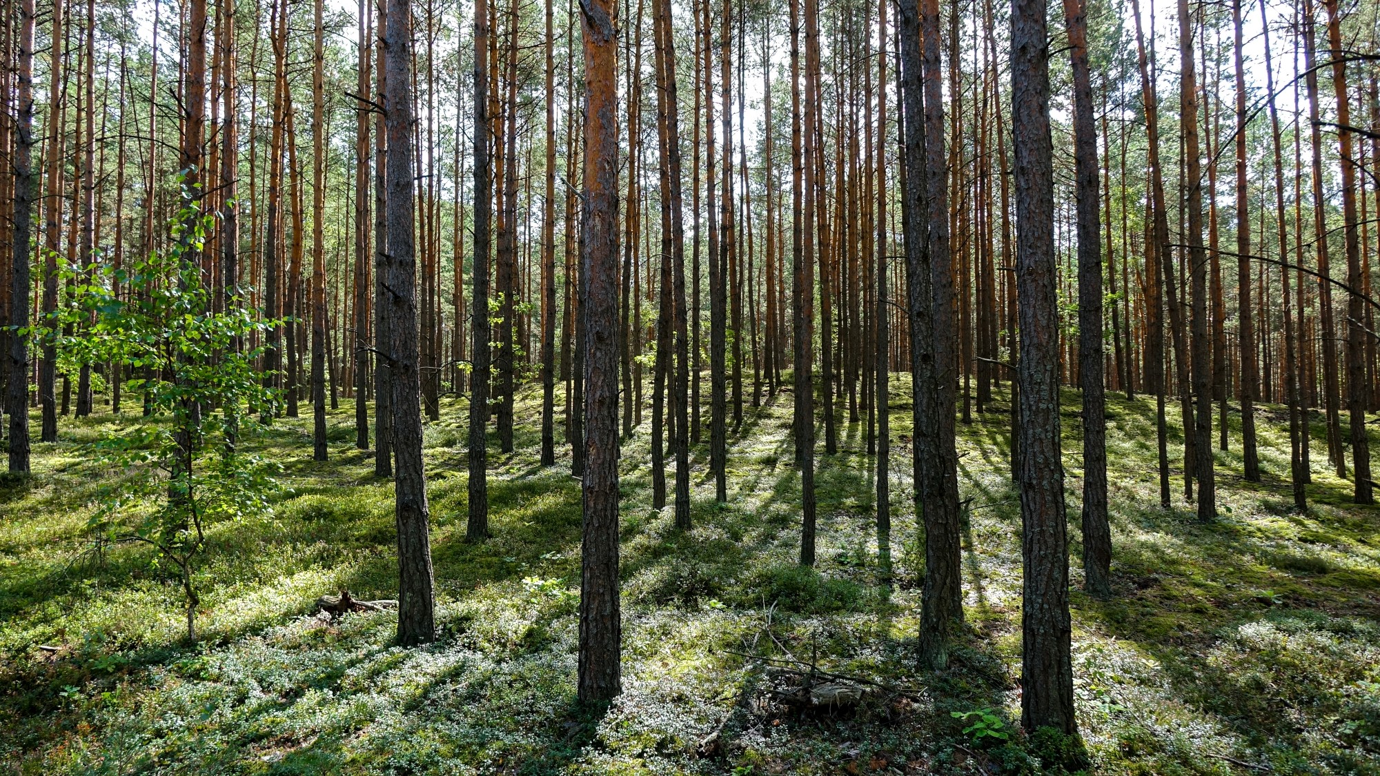 Wrzesień w obiektywie - zdjęcie 37