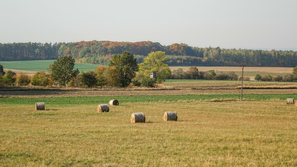 Jesienne klimaty - zdjęcie 29