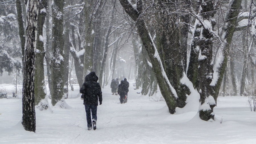 18.11.2018 11:00 Prognoza 16-dniowa: Nadchodzi zima ze śniegiem i mrozem. Jak długo się utrzyma?