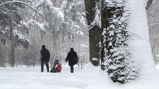 12.01.2021 12:00 Dymitr przyniesie uderzenie zimy. Zawieje śnieżne i oblodzenie. Może spaść nawet do 10 cm śniegu